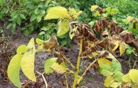 ��� �������� ��������� �� ����� ������� ��������