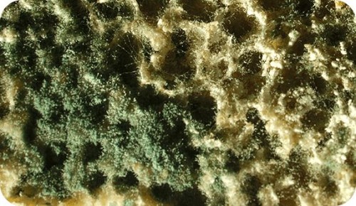 ��������� ������: ��� �������� ������, ������� � �����