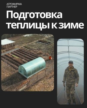 ����������� ������ ���������� �������: ���� � �������� ������