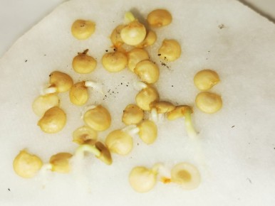 ��� ������ ��������� ������� ������� ����� ����� �� ������