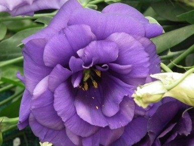 ���������� ������� �������� ��������� ������� � �� �����