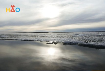 � ������ �������� ������������� �������� ���� � ������������ ��������