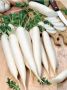 Дайкон – вкусное и полезное с полей Японии