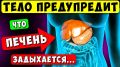 Сигналы о проблемах с печенью: какие симптомы настораживают
