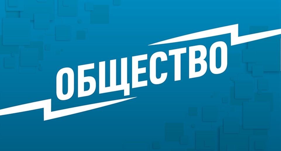 Комнатное садоводство как путь к душевному равновесию