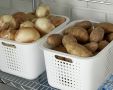 Три критически важных ошибки при хранении картошки, которые необходимо избежать
