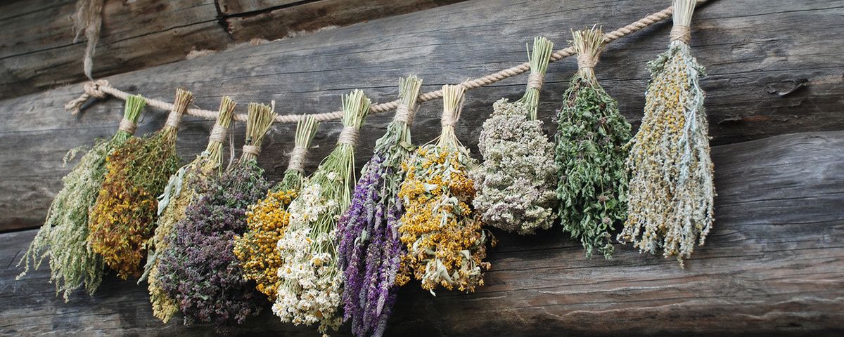 Тайны травяного чая: как заваривать, чтобы сохранить аромат и вкус