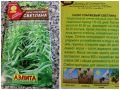 Спаржевый салат уйсун: секреты выращивания и полезные советы