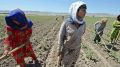 «Впечатление, что нас просто пытаются употребить активно»