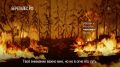 Власти НАО напомнили о важности профилактики лесных пожаров