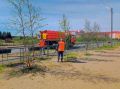 В Нарьян-Маре продолжается регулярный уход за зелеными насаждениями
