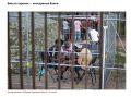"Эмпатия" по–прибалтийски: 85% – под замком, остальные готовят еду в жестянках