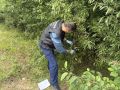 В Новодвинске задержан подозреваемый в убийстве женщины