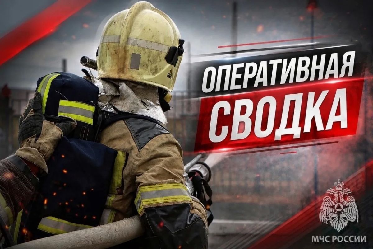 #ОПЕРАТИВНАЯСВОДКАНАО. За 12 сентября на территории Ненецкого автономного округа пожаров не зарегистрировано