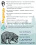 Лето и осень — время походов, грибов и