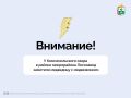 У Комсомольского озера в районе микрорайона Лесозавод заметили медведицу с медвежонком