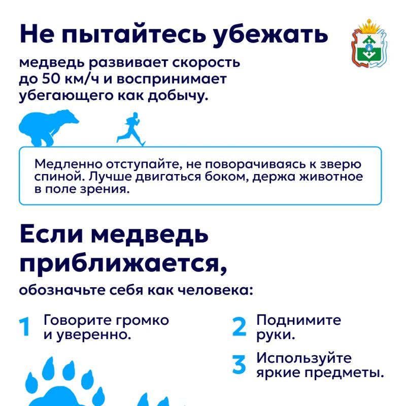 Ирина Гехт: В последние недели из разных регионов страны приходит много сообщений о медведях, которые выходят к жилью, дорогам и местам отдыха Ирина Гехт: В последние недели из разных регионов страны приходит много сообщений о медведях, которые выходят к жилью, дорогам и местам отдыха