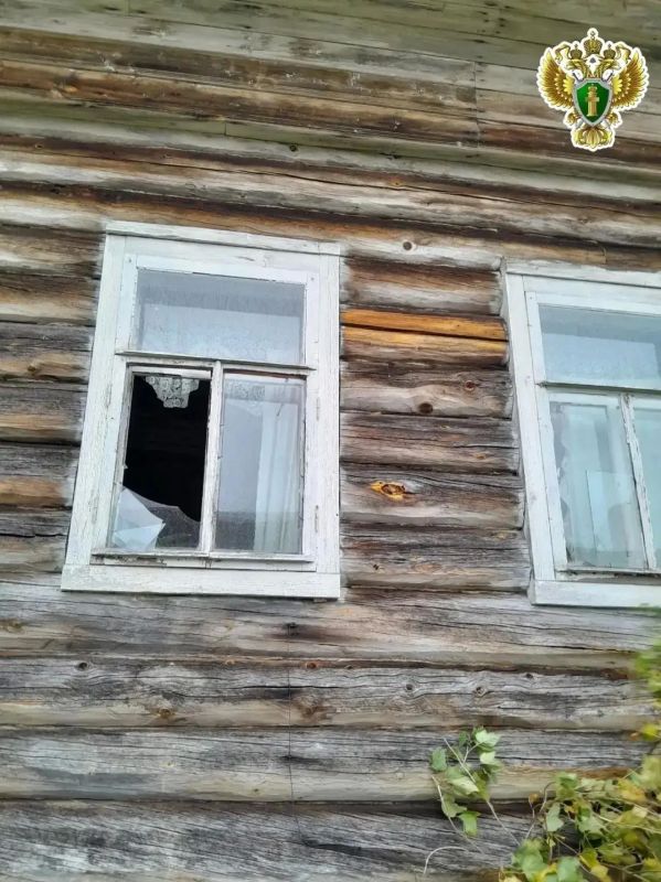 МЕДВЕДИ ЗАХОДЯТ В ДОМА В АРХАНГЕЛЬСКОЙ ОБЛАСТИ МЕДВЕДИ ЗАХОДЯТ В ДОМА В АРХАНГЕЛЬСКОЙ ОБЛАСТИ