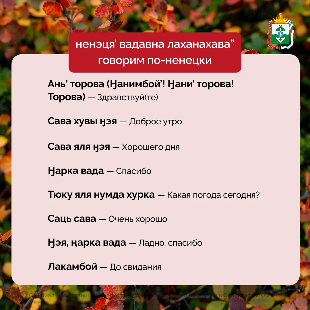Жителей НАО приглашают на бесплатные курсы ненецкого языка
