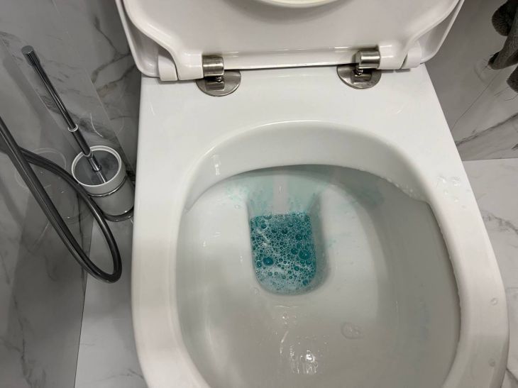 Больше никакого неприятного запаха: 2 копеечных средства для чистки унитаза — в туалете будет всегда свежо