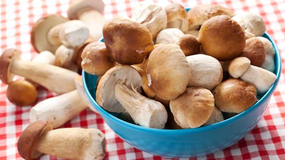 При жарке белых грибов добавьте этот ингредиент: обычное блюдо превратится в лакомство