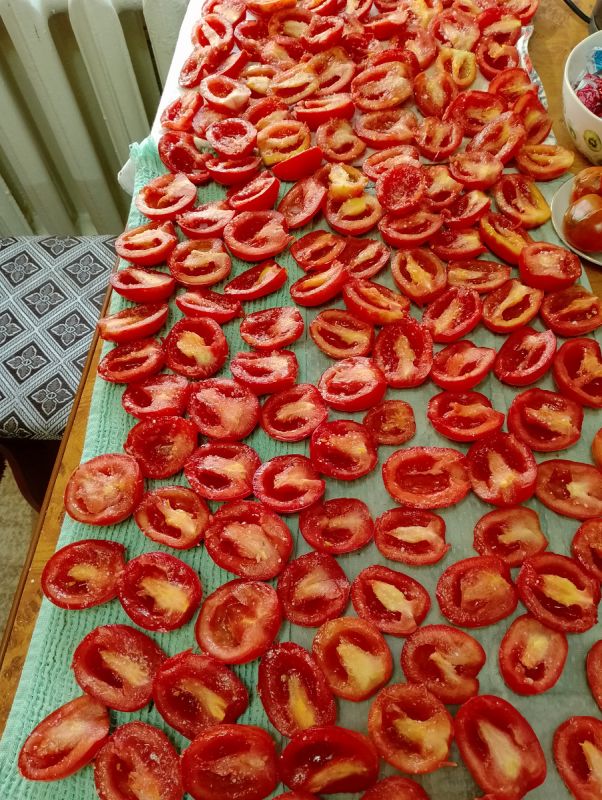 Вяленные томаты: секреты приготовления и хранения