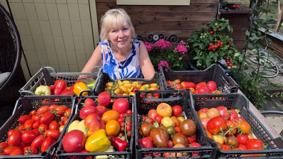 ������ �������: ��� ���������� �������� � ����������� ���� ��� ������