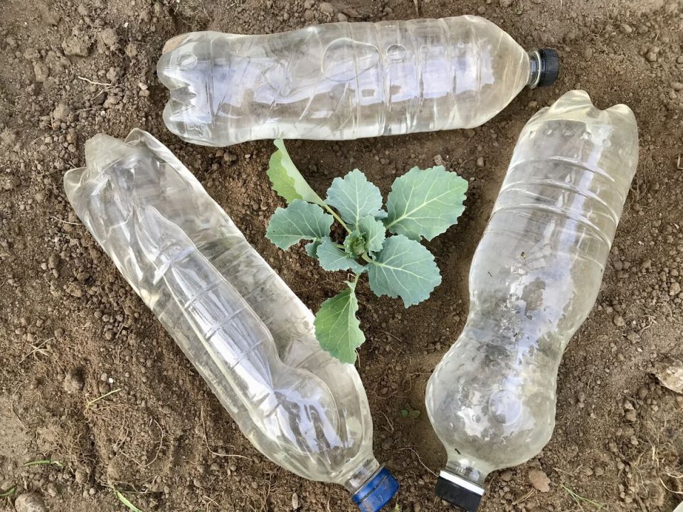 ��� ����������� ������� ����� ������ ��� ��� �� ����������� �����