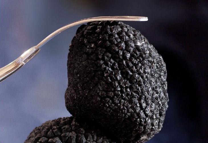 ��� �������� �������: ������� �������, ������� ��� ������� ������