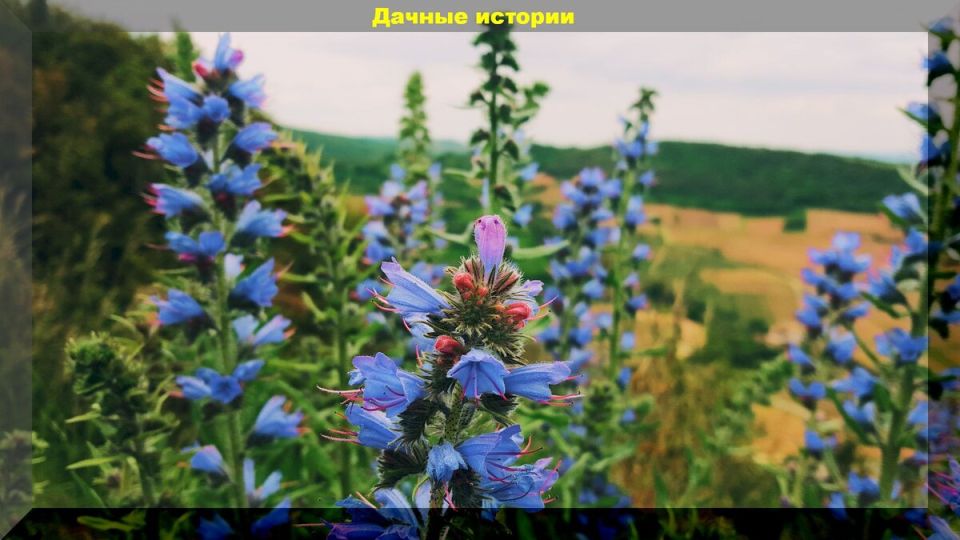 �����: ������� ����� ���� � �������