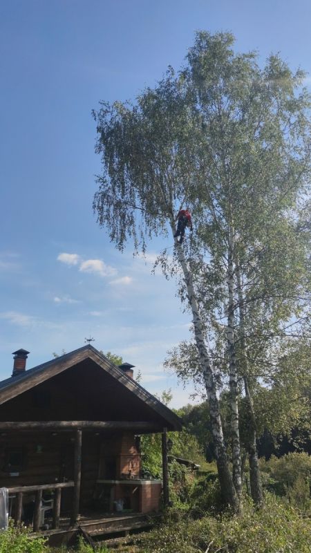 ��������� ������� �����������: ����� �� ������� �������� ����� �������� ���������