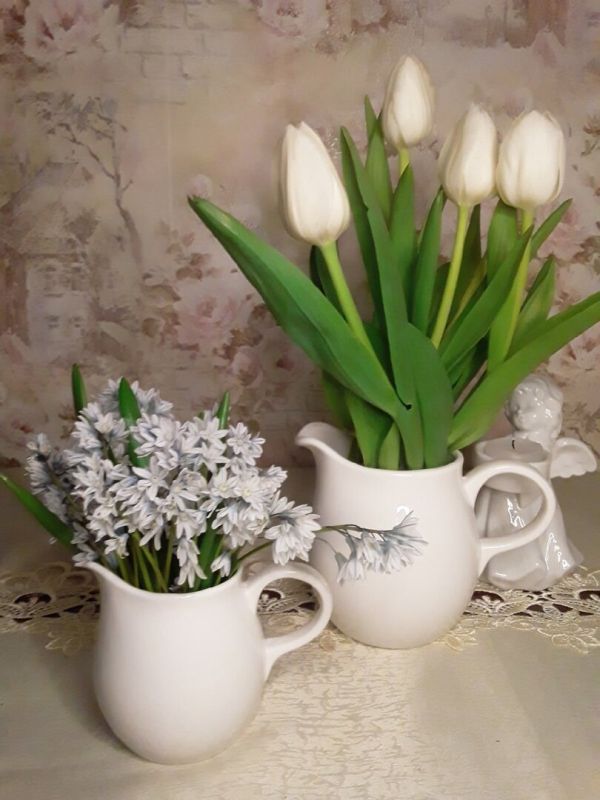 В ожидании весны: новые первоцветы в саду