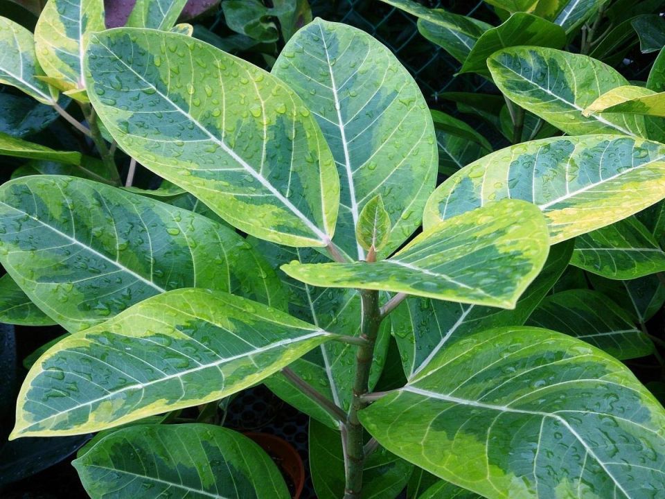 ����� ������: ������� ��������� ������������ � �������� �� ������