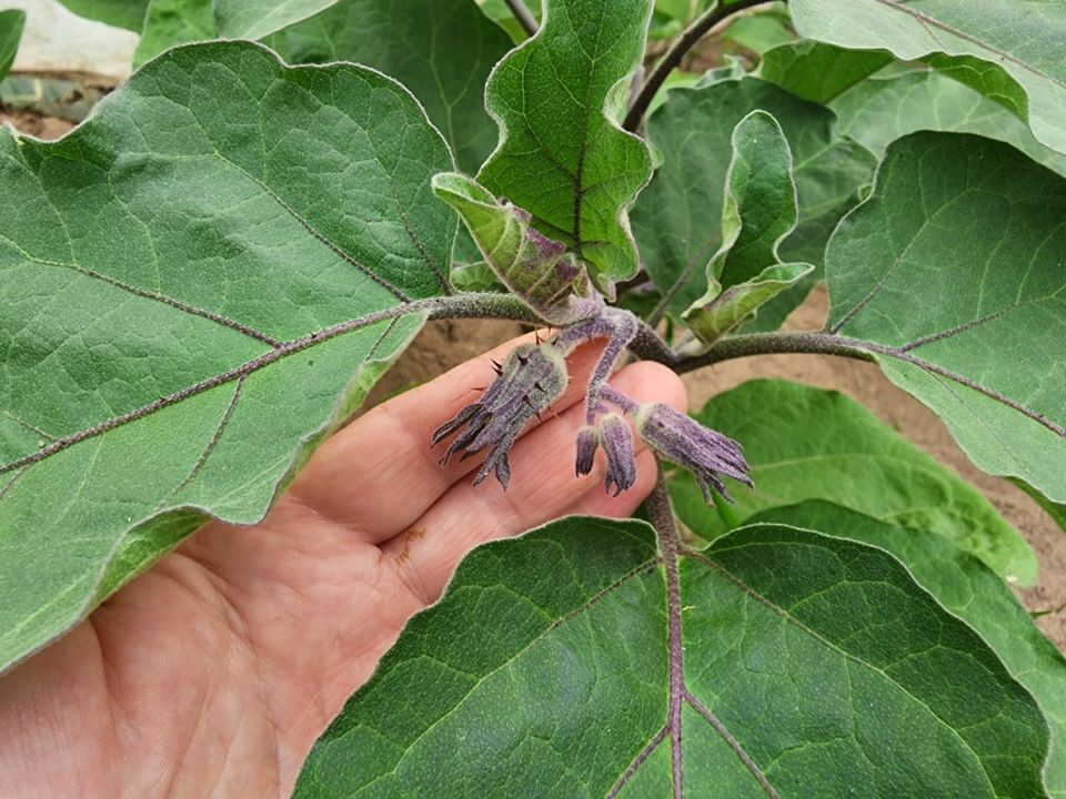 ��� ��������� ������������� ��������� � ����: ������� ��� ��������� ������