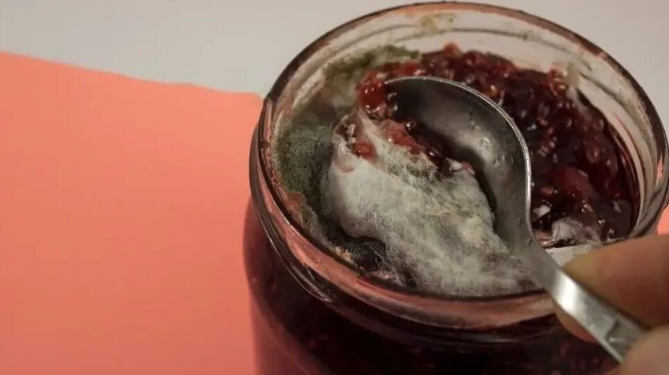 Плесень на варенье: как избежать порчи и что делать с испорченным продуктом