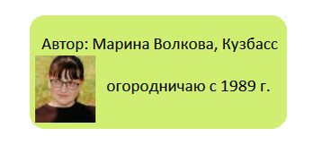 Как предотвратить черную ножку на рассаде: эффективные советы для садоводов