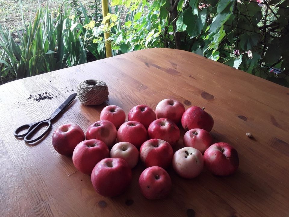 ��� ������� ����� ������� ������ ����� �������� ���� ������ � ����