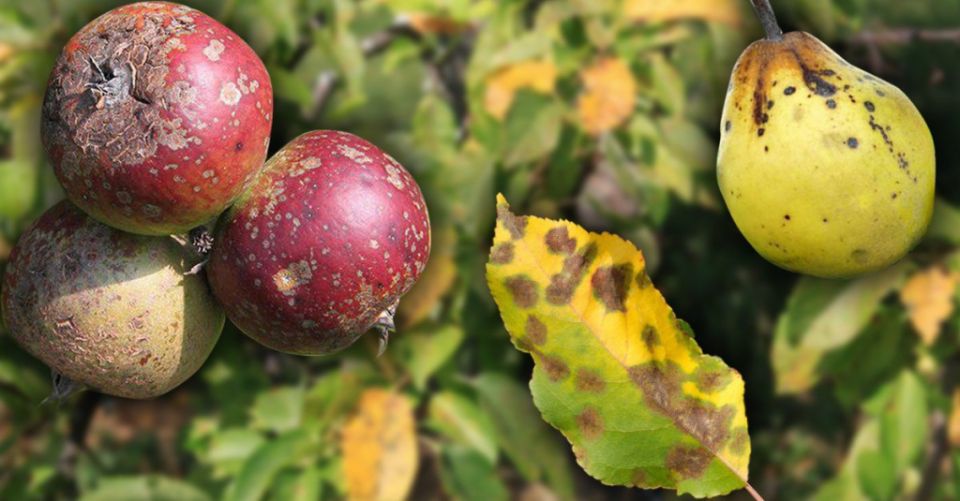 �����: ��� �������� ������ � ���� �� ��������� ����� �����