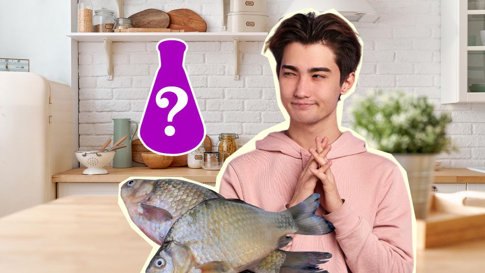 ����� ���� �� ���� �������� �����: ��� ��� �� ��������� �������