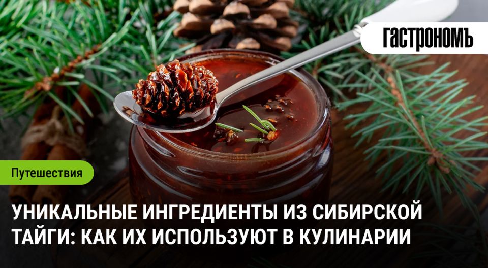 ��������� �����: ���������� ���������, ������� ����������� �����