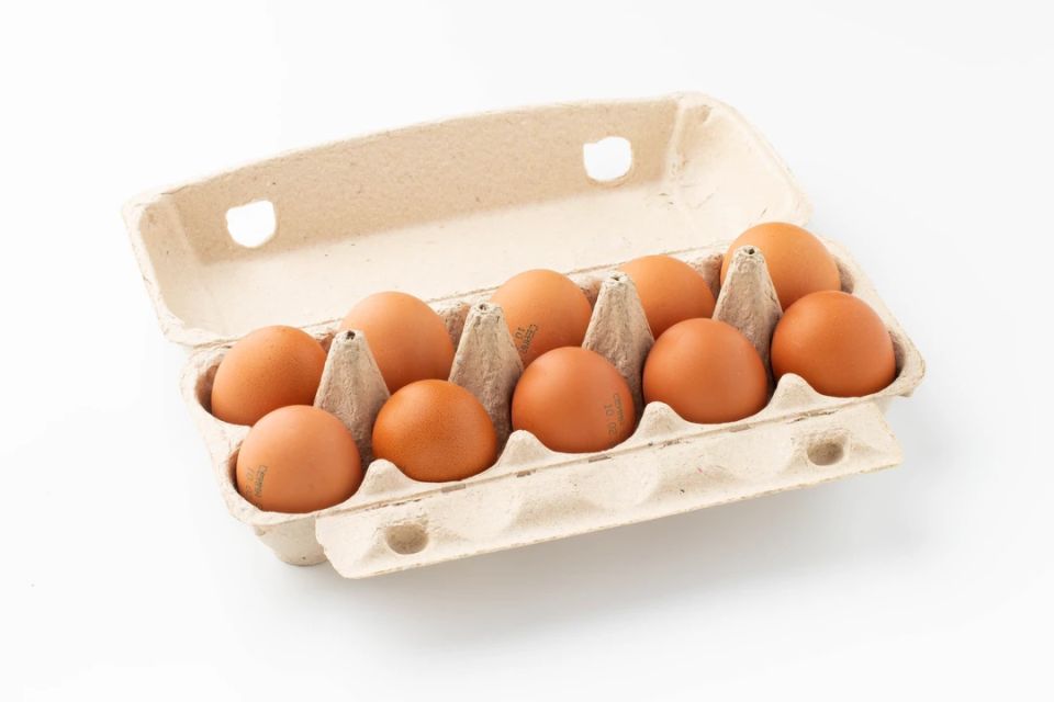 ������ ���� �������� ����� ��������� ����� ��������