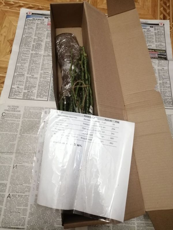 �������� ��� ����-������: ��� ������� ������ ������� ��� ����