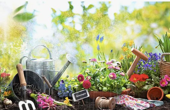 Как спланировать бюджет на садовый сезон и избежать лишних расходов