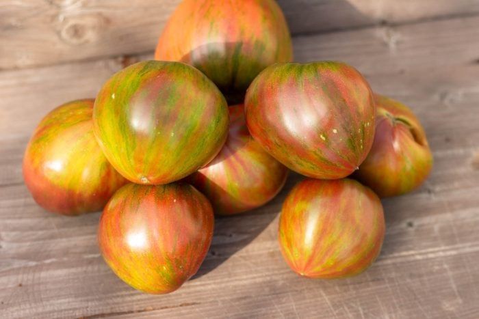 ����� ��������� ������: ��� ��������� ������������ �����