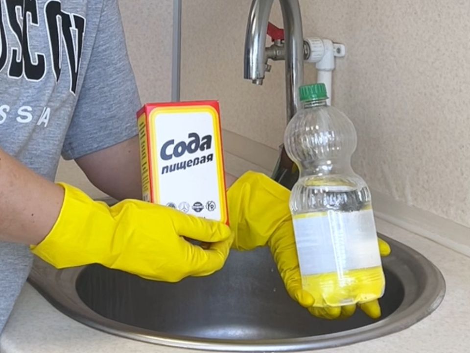 ���� � ����� ������ ������: ��� ������� ��������� �����