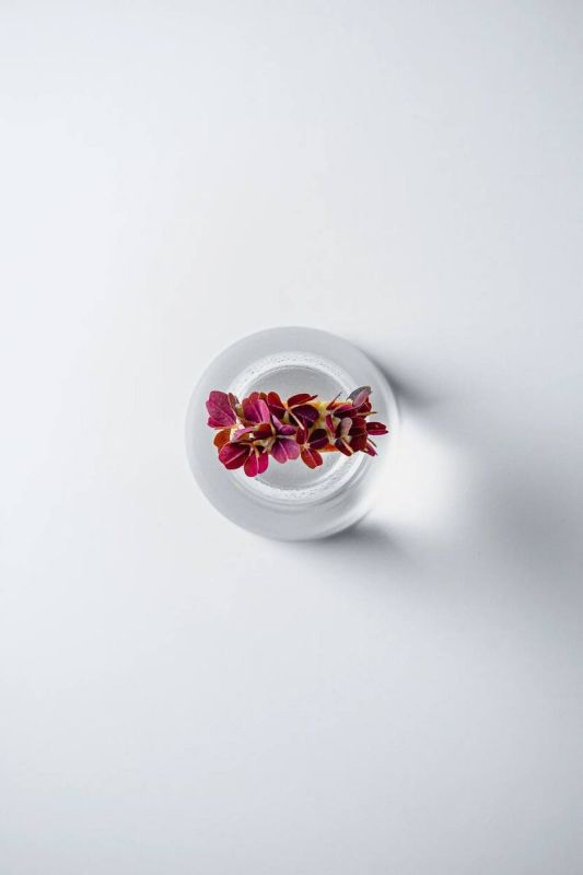 Тар-тар из сёмги с хрустящим сулугуни — история баланса и внимания к деталям