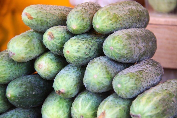 Почему огурцы горькие: как избавиться от привкуса перед консервацией