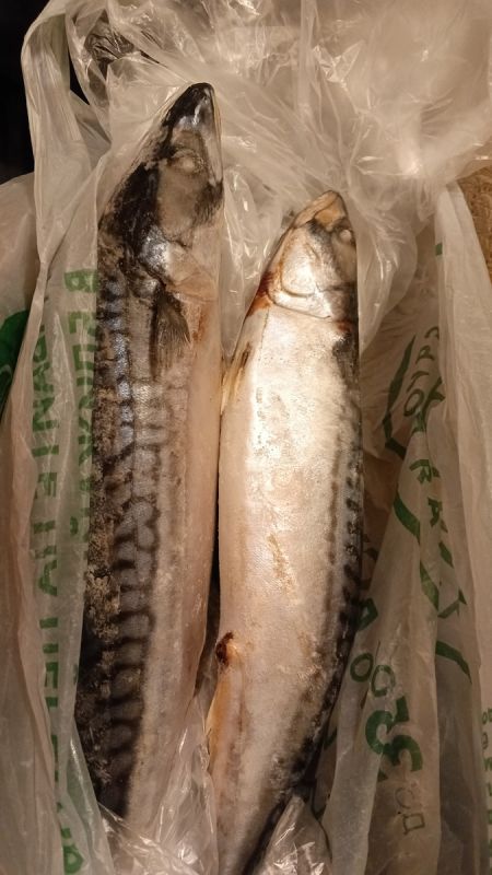 ��������� ������: ��� �������� � ������ �������� � ��� �� ����� �����