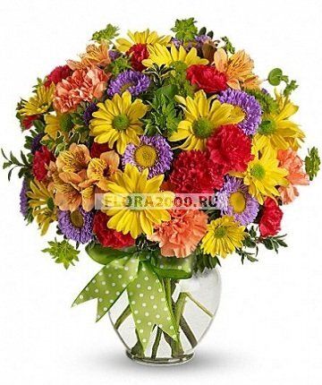 ��� ����� ����� �������� ���� ���������� � ������������