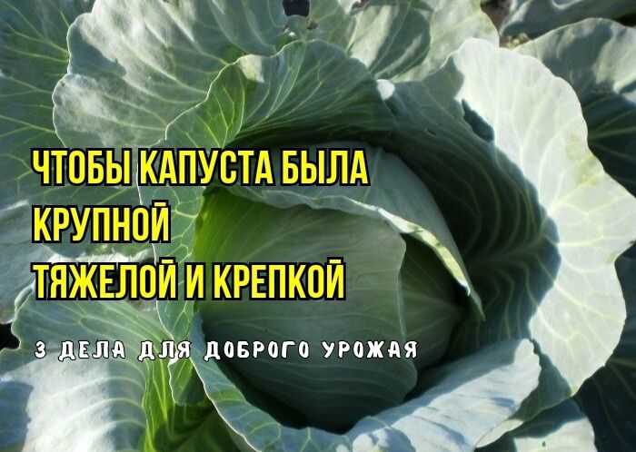 ��� ��������� ������� ������� � ����: ������ ���������